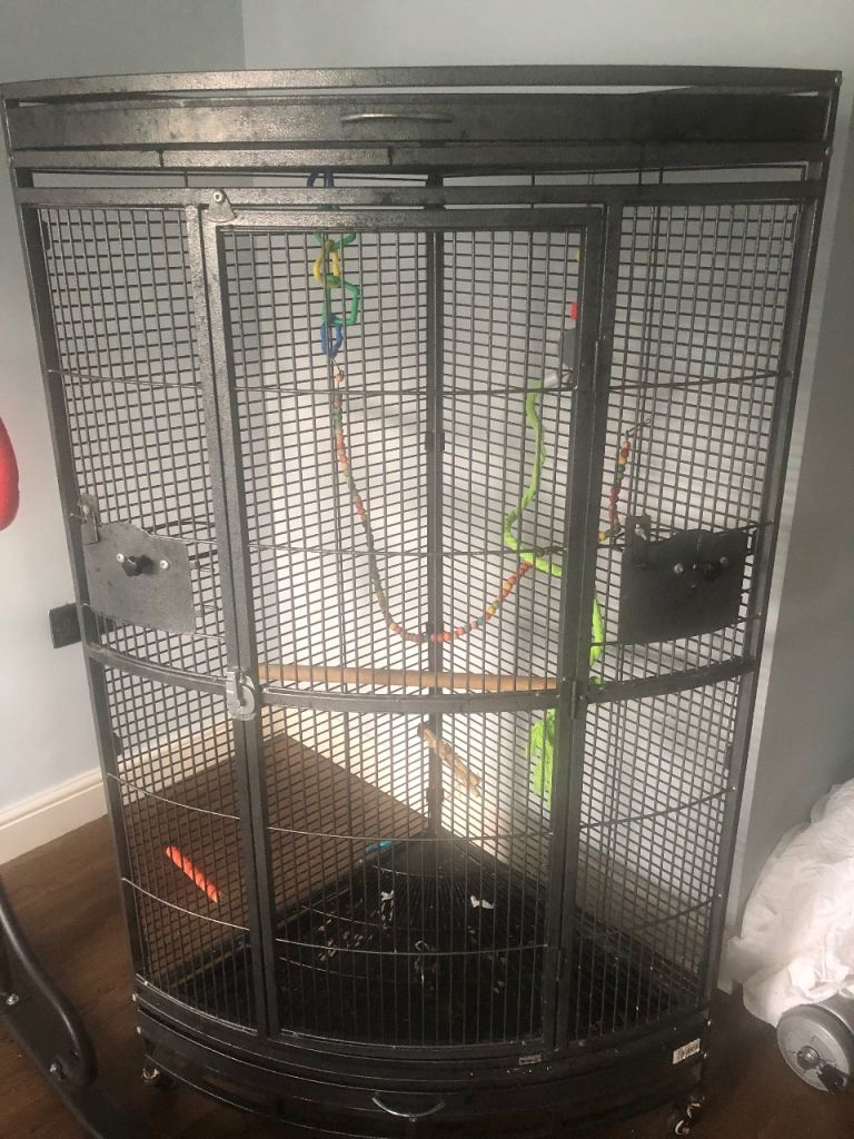 Bird/parrot/small animal cage