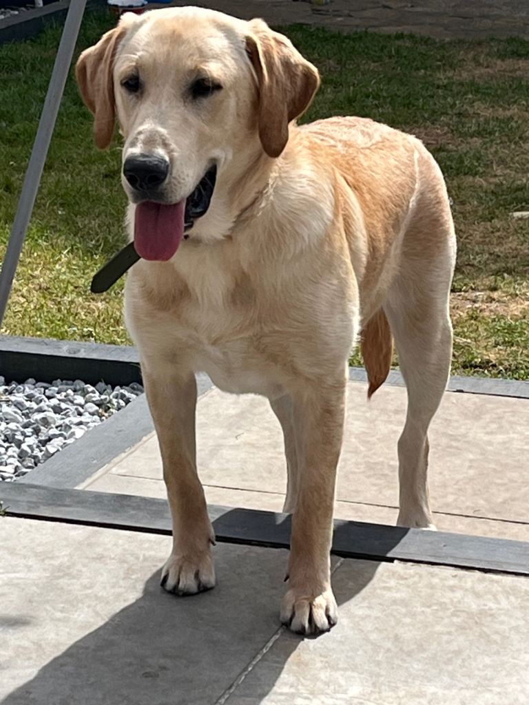 Charlie