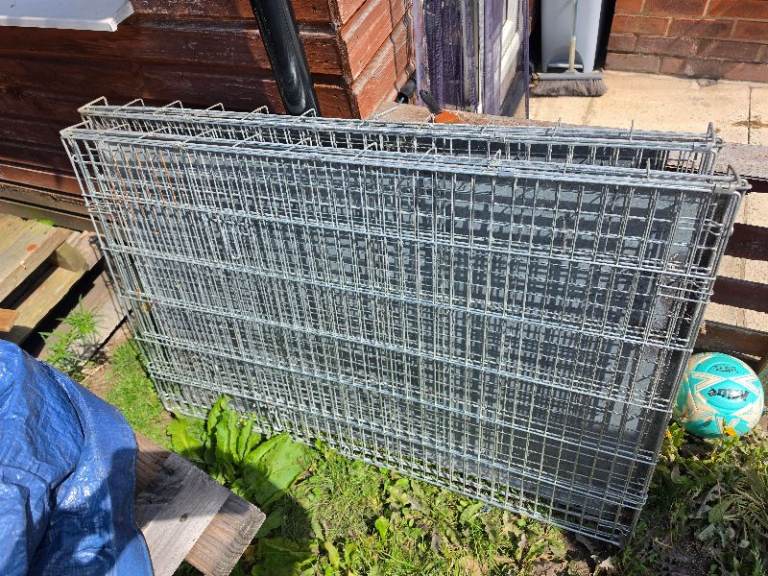 Dog cages xxl size