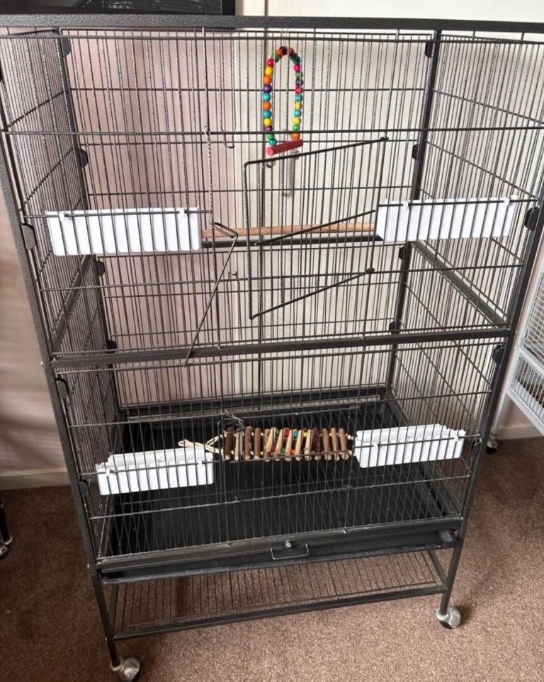 Large bird cage 