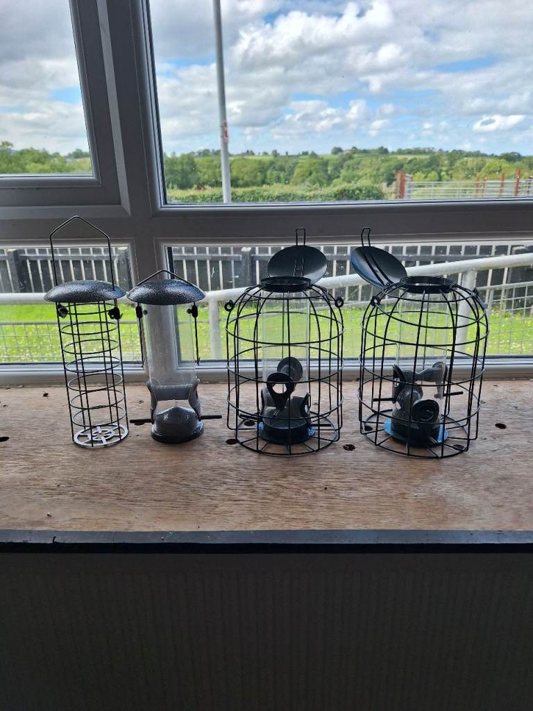 Bird feeders totally free