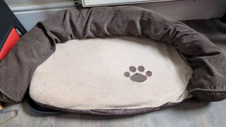 Used dog bed
