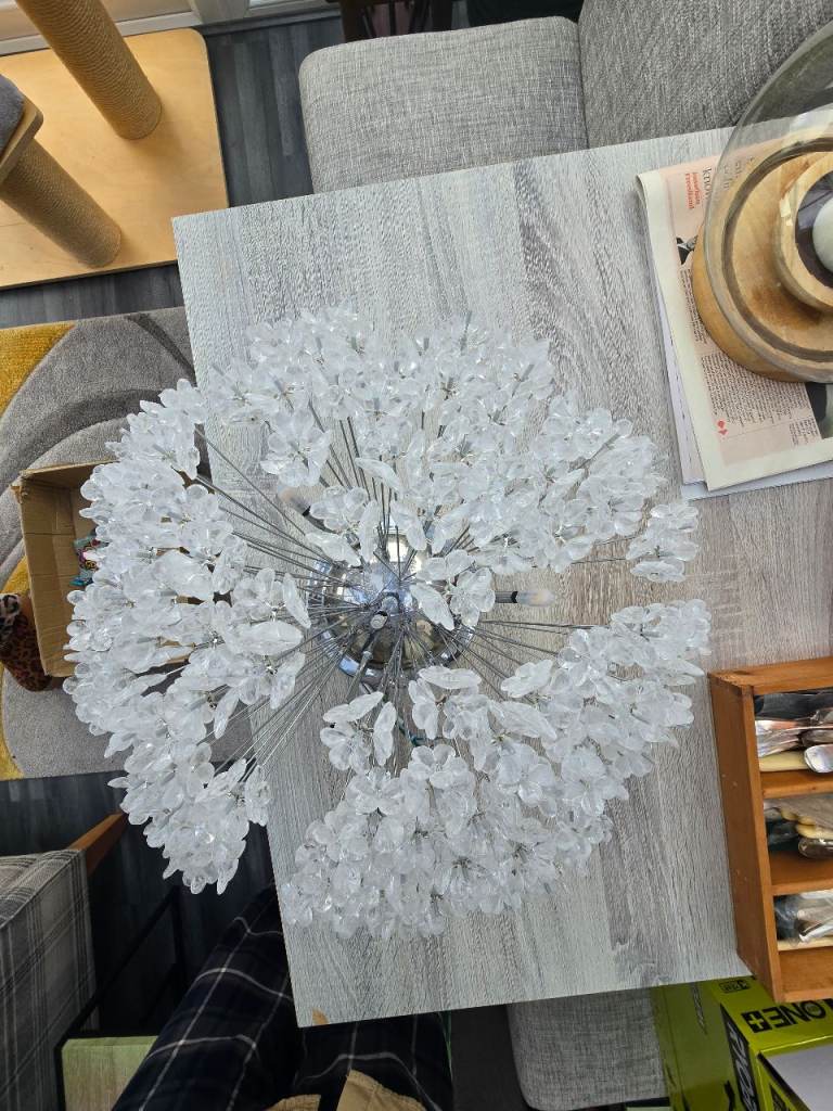 Decorative ceiling light