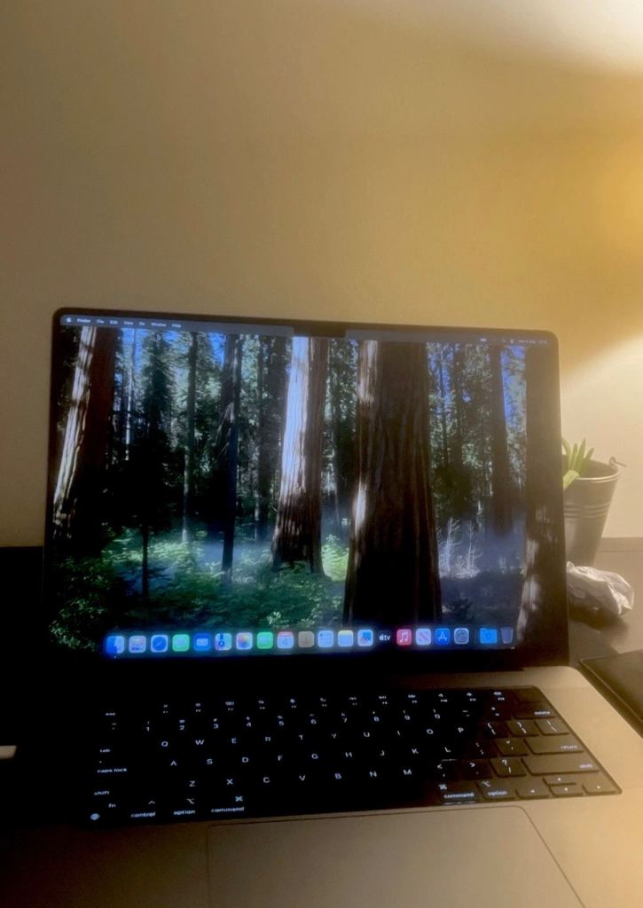 Apple MacBook Pro 16" M2 Pro 1TB SSD 16GB RAM - 94% Battery Health - 19 Core model