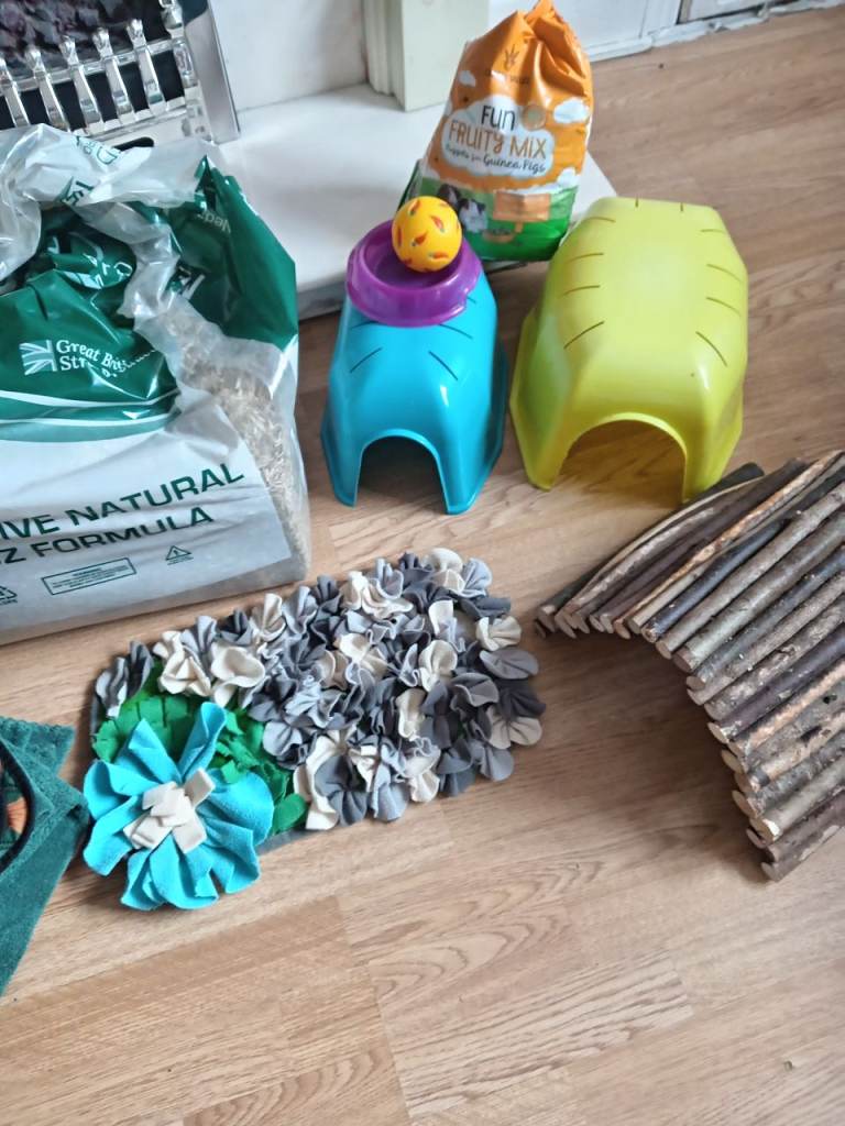 Guinea pig items