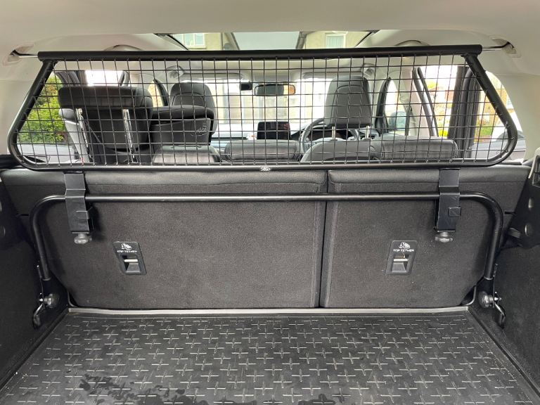 Ford focus dog guard 