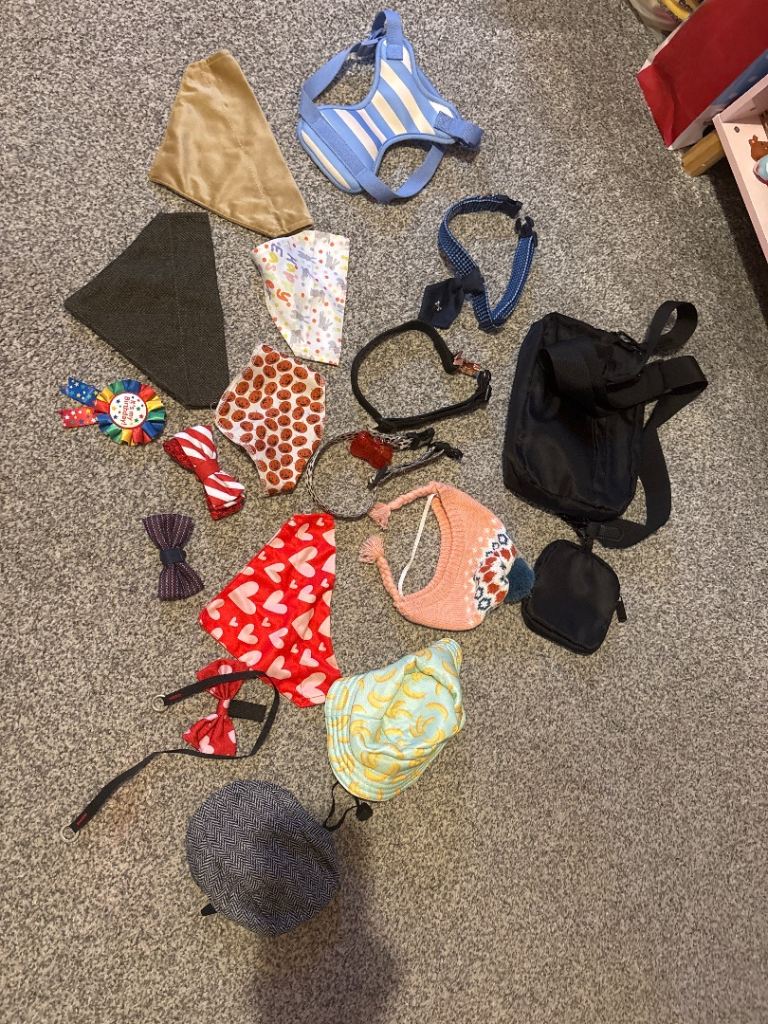 Dog collars, harness, hats and bandanas. Dog walking bag