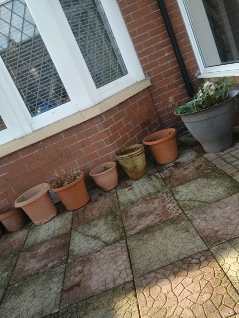 image for Free garden pots