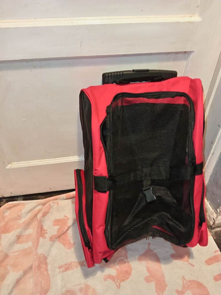 Backpack pet carrier with wheels