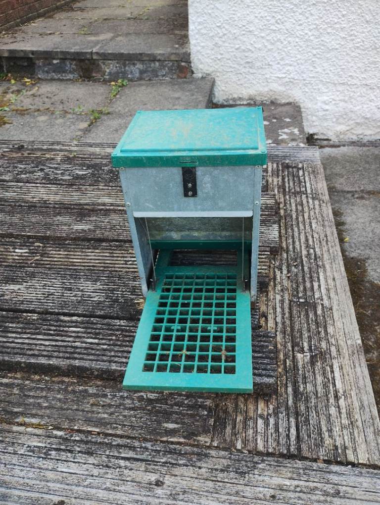 Hen feeder