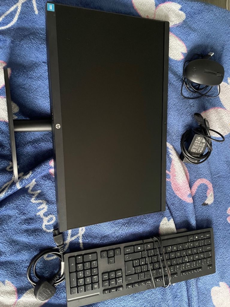 HP All In One N100