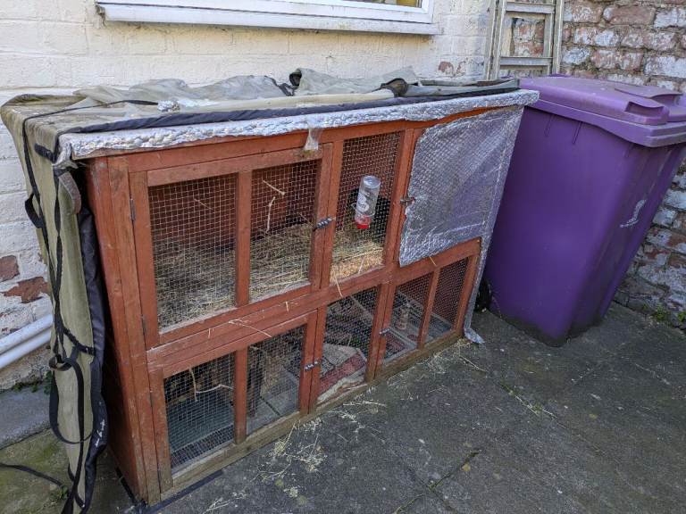 Large Rabbit/Guinea Pig hutch