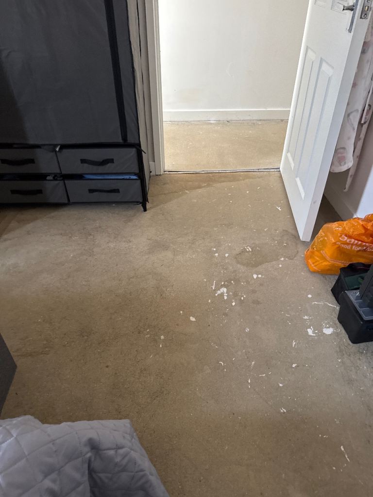 5.4 m carpet for sale or free if possible 