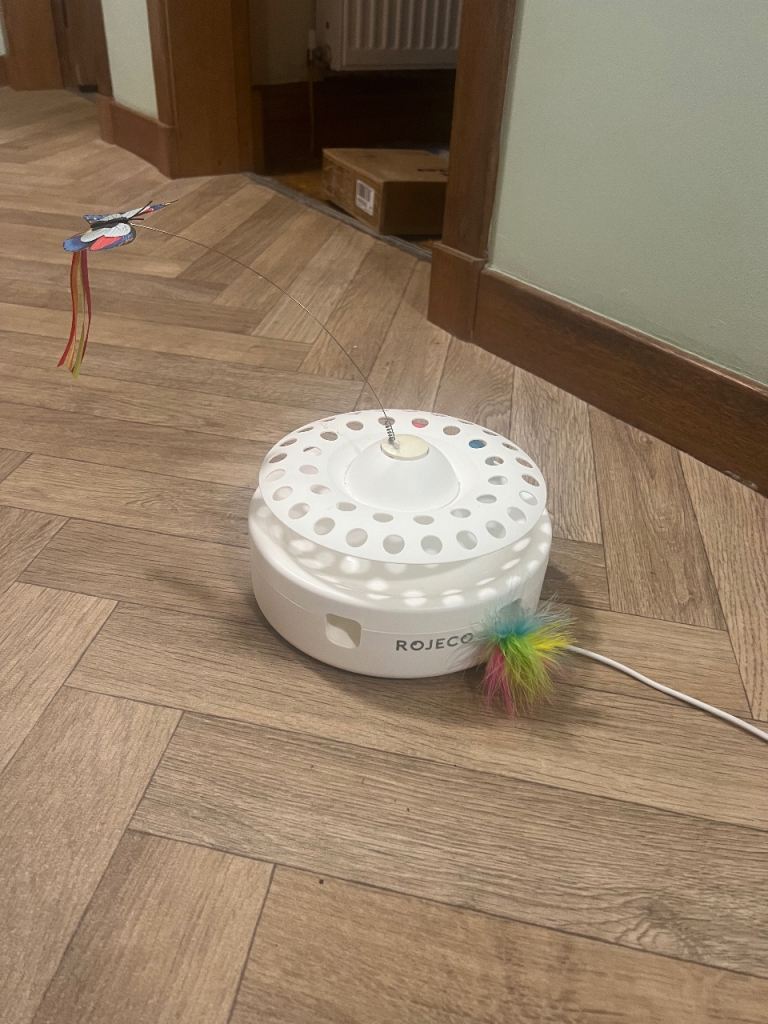 Interactive 3 in 1 cat toy