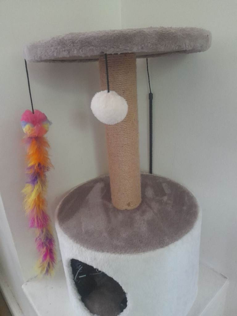 Brand new Cat scratching post 