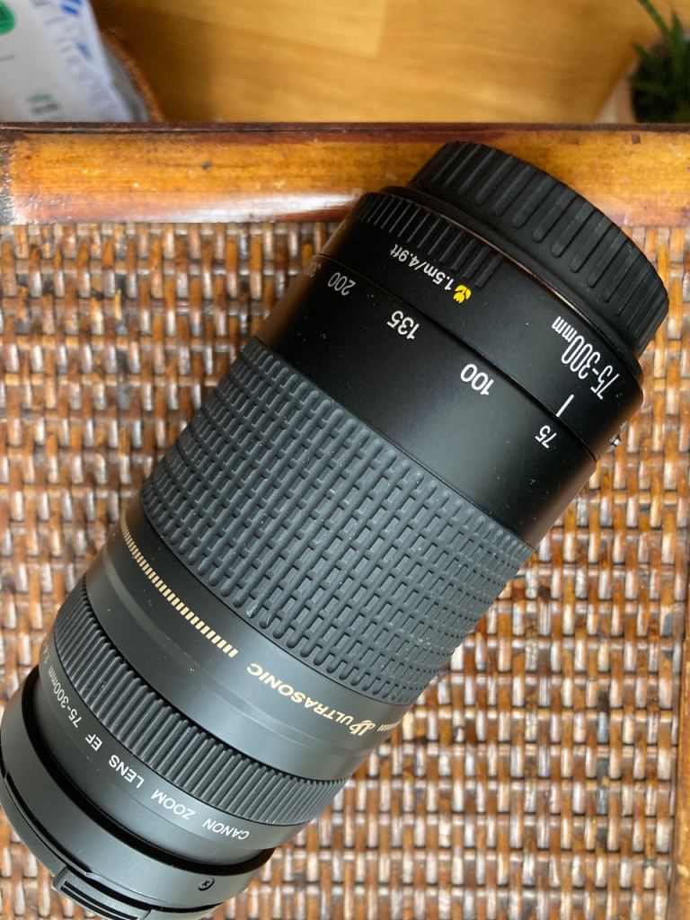 Canon Ultrasonic Zoom Lens