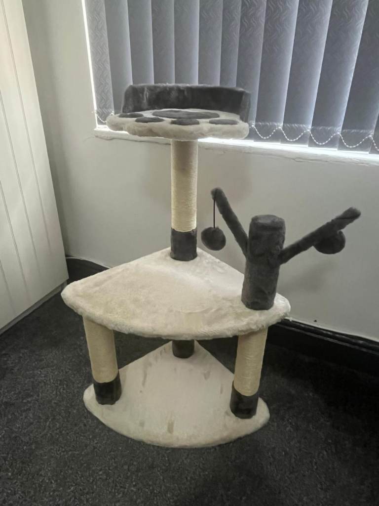 Cat/kitten accessories brand new 