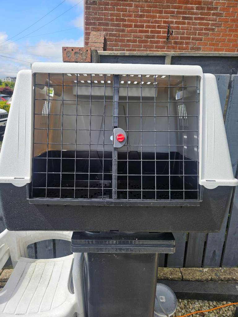 Double dog crate 