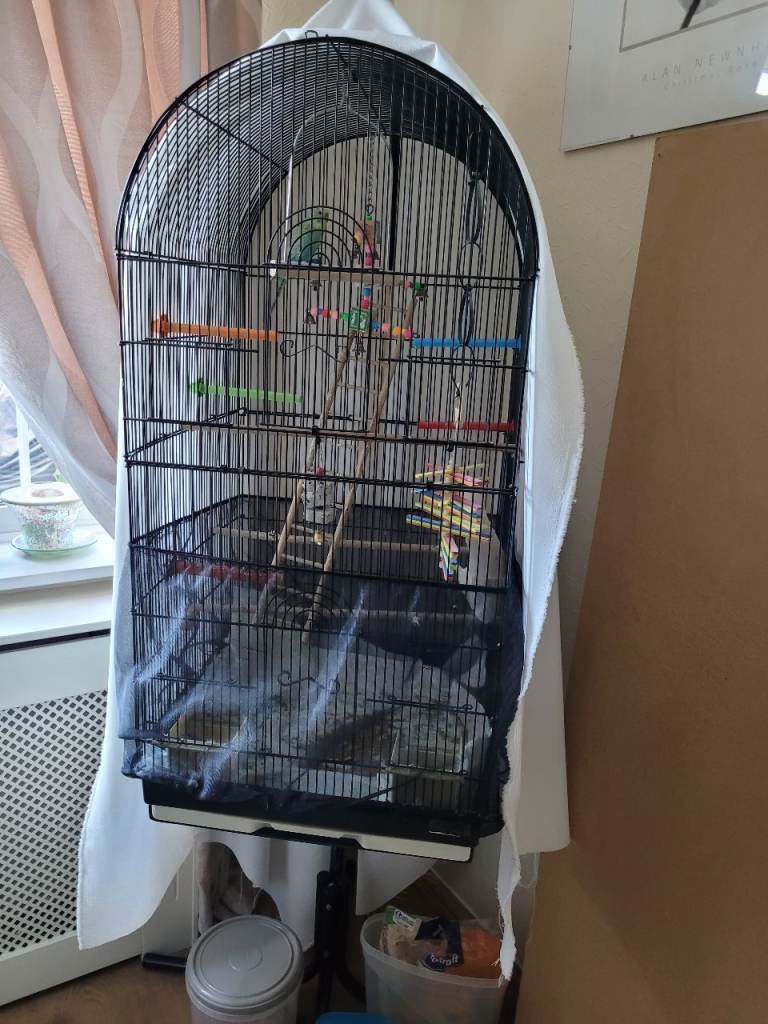 Bird cage
