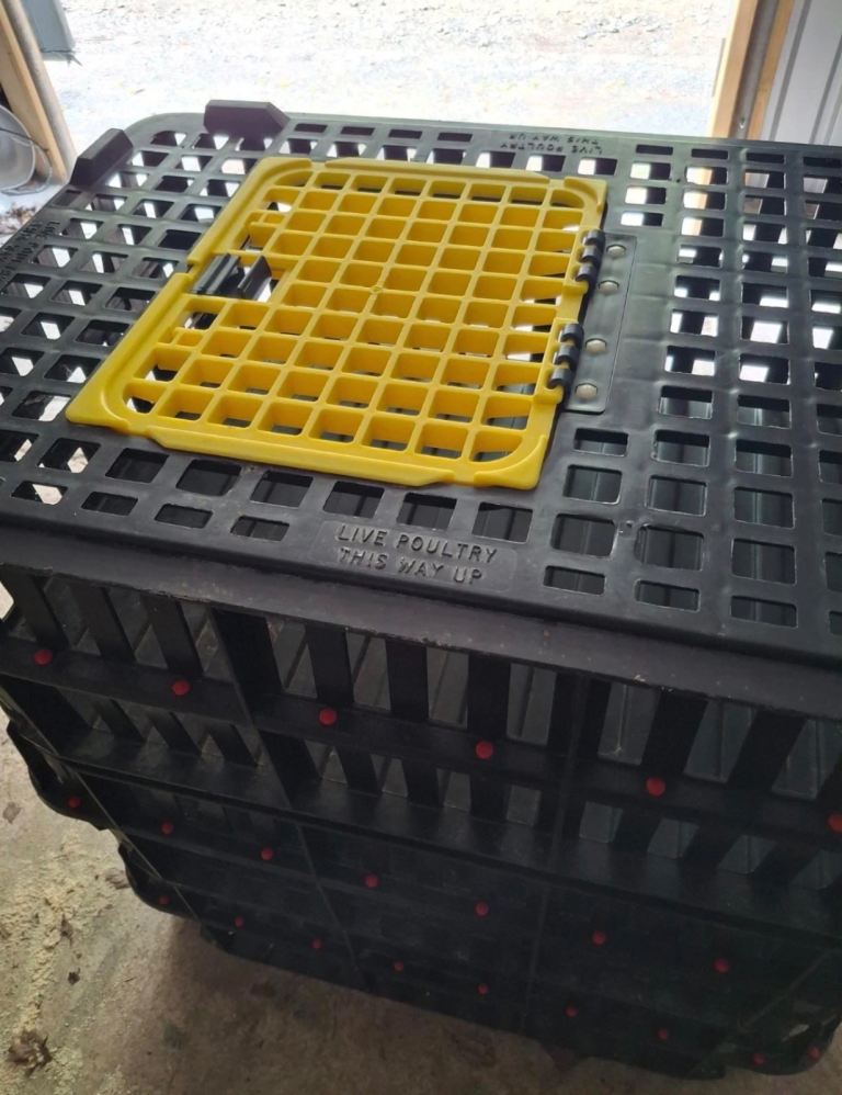 Poultry crates for livestock £40 each 