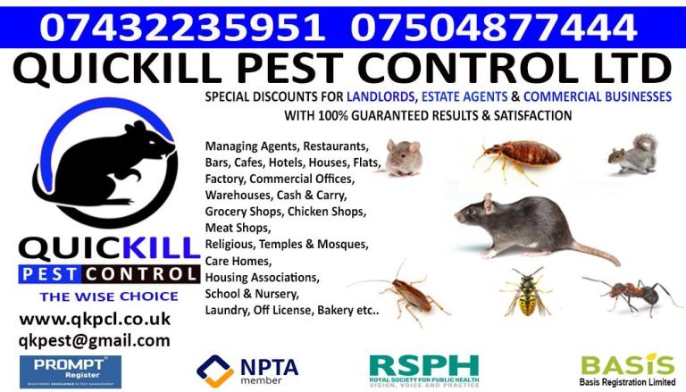 24/7 Walthamstow Stratford 100% Guaranteed Pest Control Mice Rat Bedbug Ants Cockroach Flea Mouse