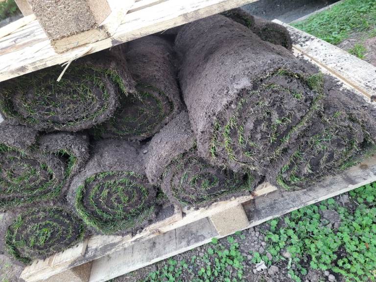 Grass turf fresh 18 rolls 1m2