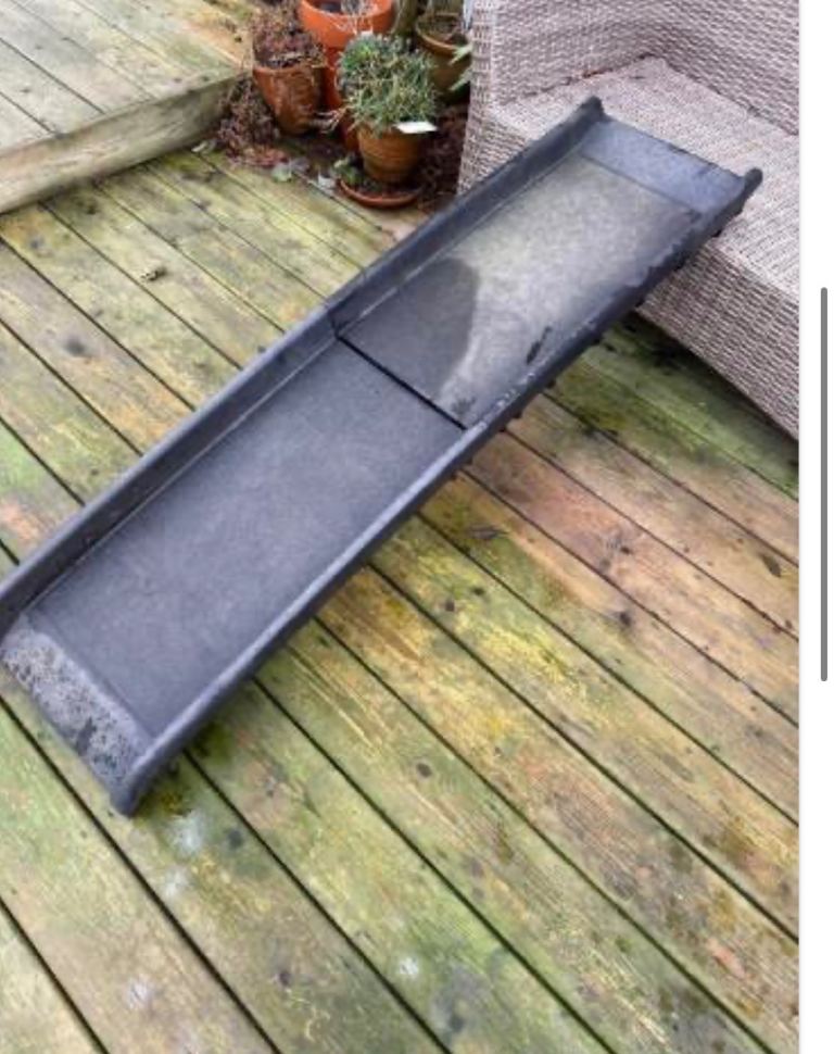 Dog ramp 