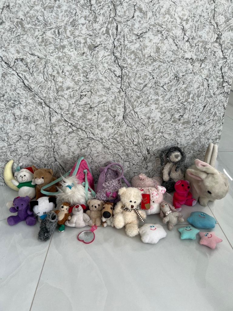 Teddies, Soft Toys, Bags. Assorted 20 or so different toys £10