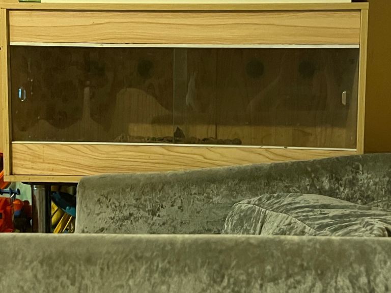 Wooden vivarium with glass sliding doors
