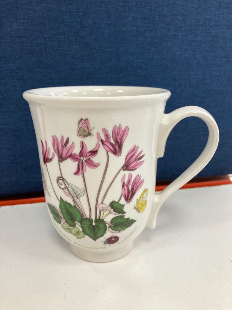 Portmeirion Botanic Gardens Mug
