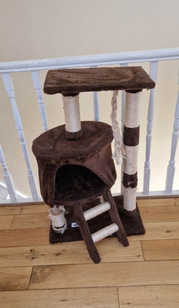 Used Cat Tree / Scratching Post