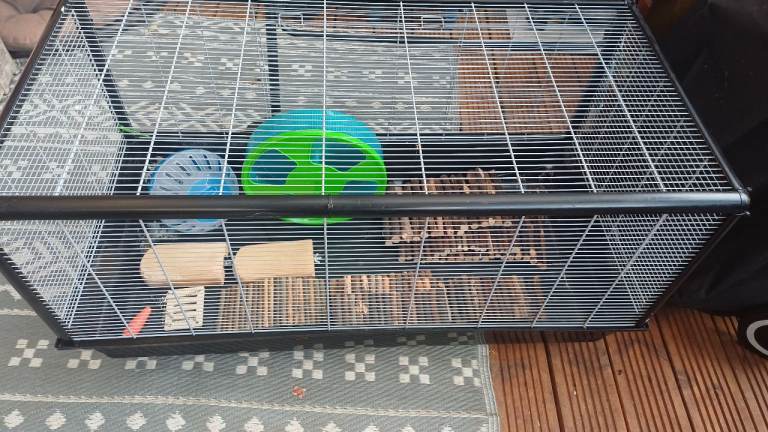 Large Hamster Cage Set Up