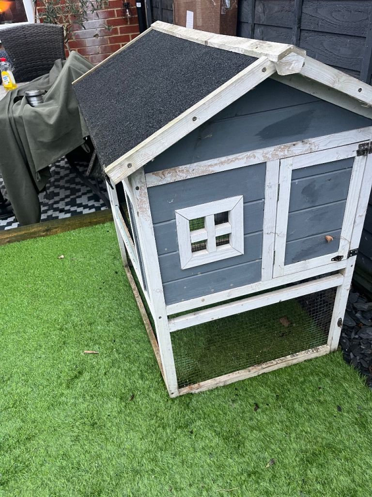 Garden outside cat house 