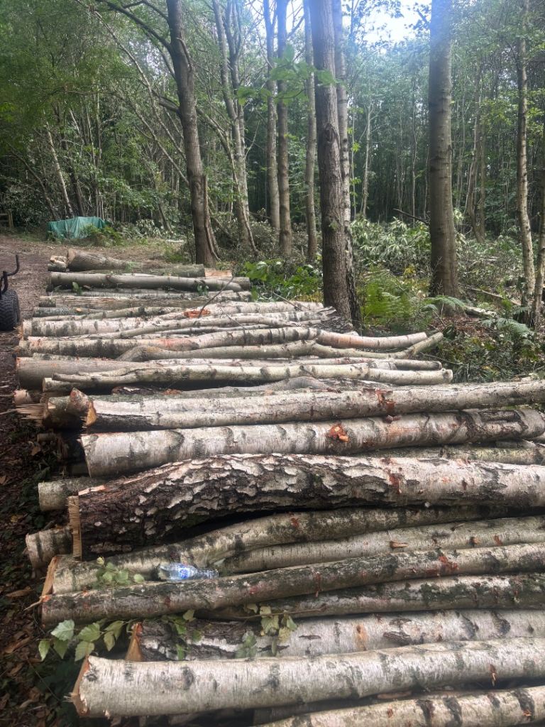 Logwood cordwood for sale by the Logman 