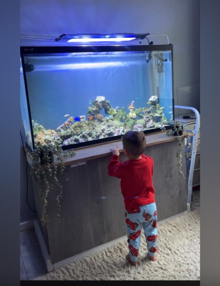 Large M&M Fish Tank Aquarium – Fair Condition