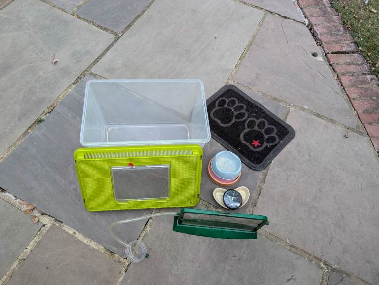 Various pet accessories