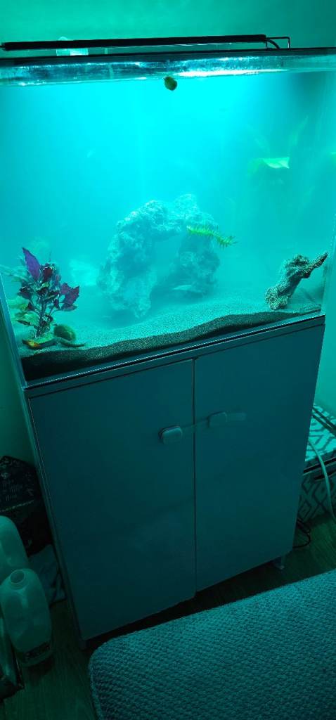 Aqua one mini Reef 120litre fish tank and cabinet 