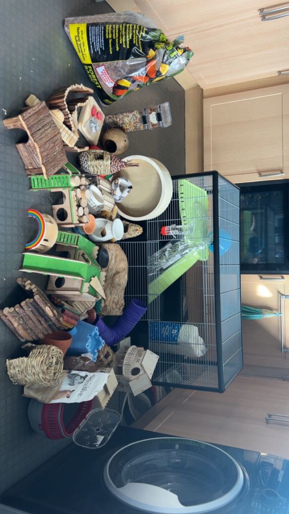 Hamster cage and accessories 