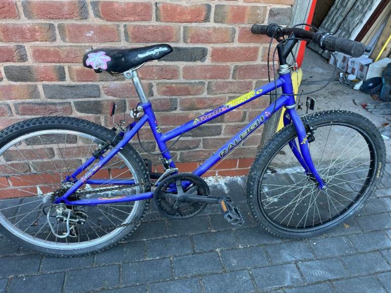 Raleigh Bicycle Blue