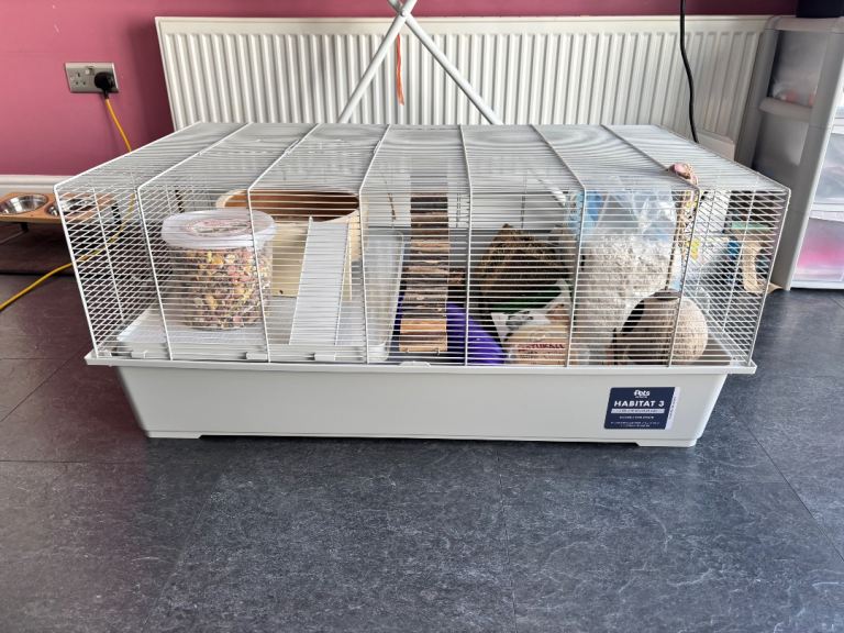 Hamster Cage, Food, Bedding and Accessories 