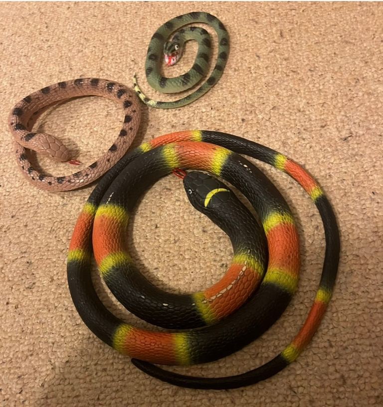 Toy animal snakes 