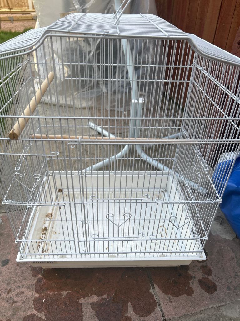 Bird cage FREE