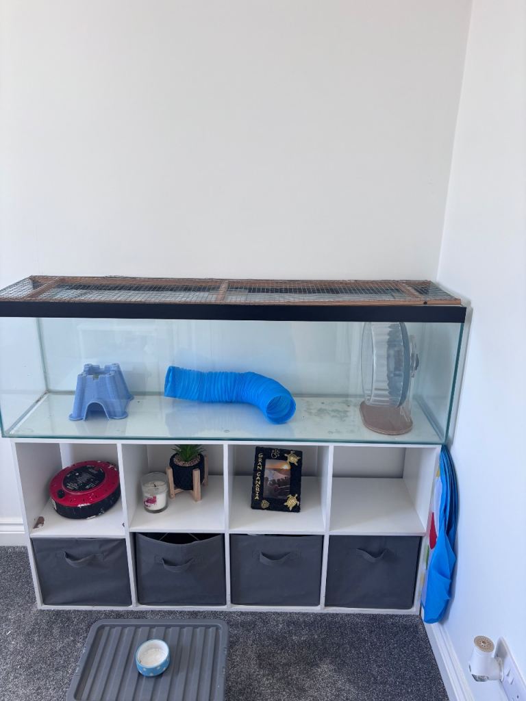Hamster Cage/ Set Up