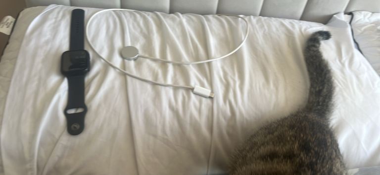 Apple Watch Series 9 45mm GPS + Cellular - LIKE NEW