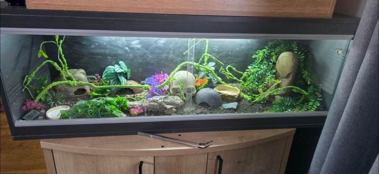 Large vivarium 