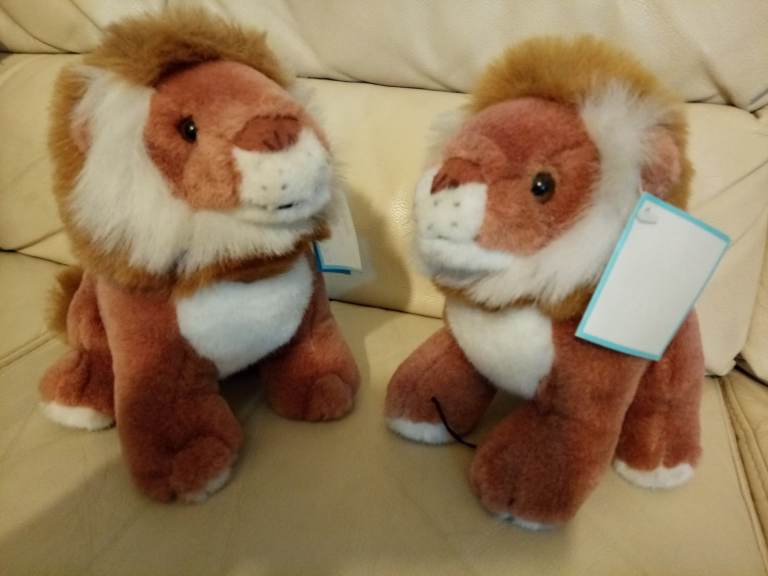 Two brother (Lion) cuddly toys