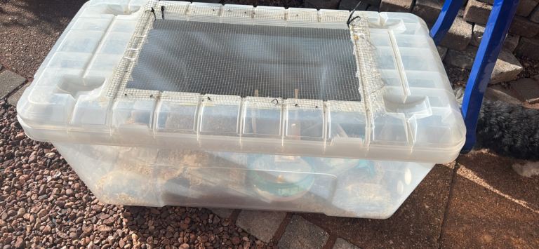 Hamster enclosures cages 