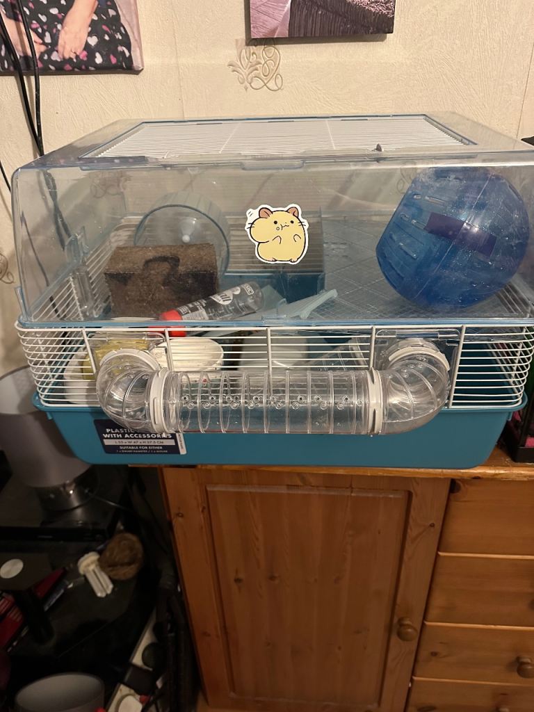 Hamster cage