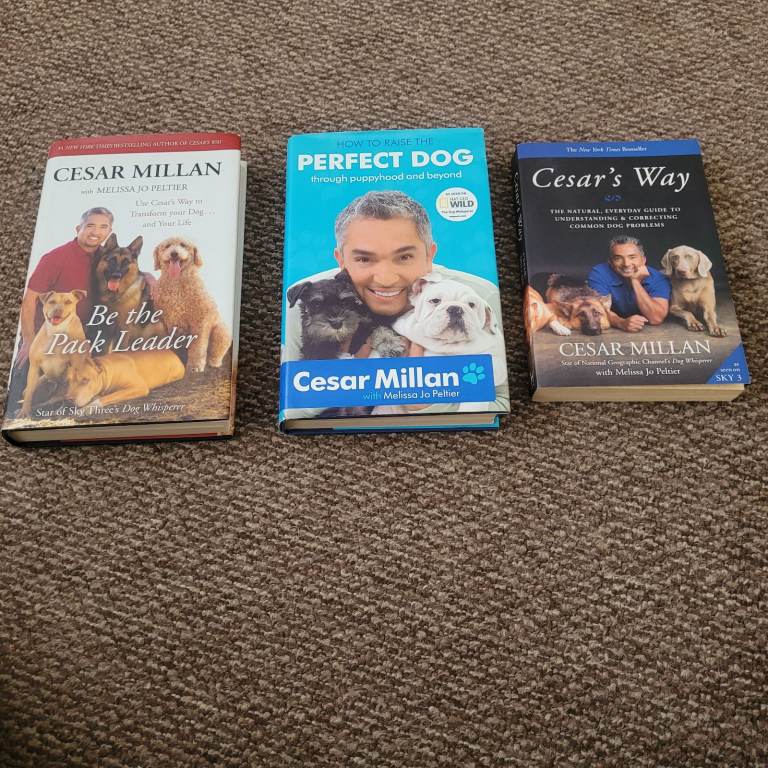 Cesar Millan Books x3 The Dog Whisperer training Book joblot