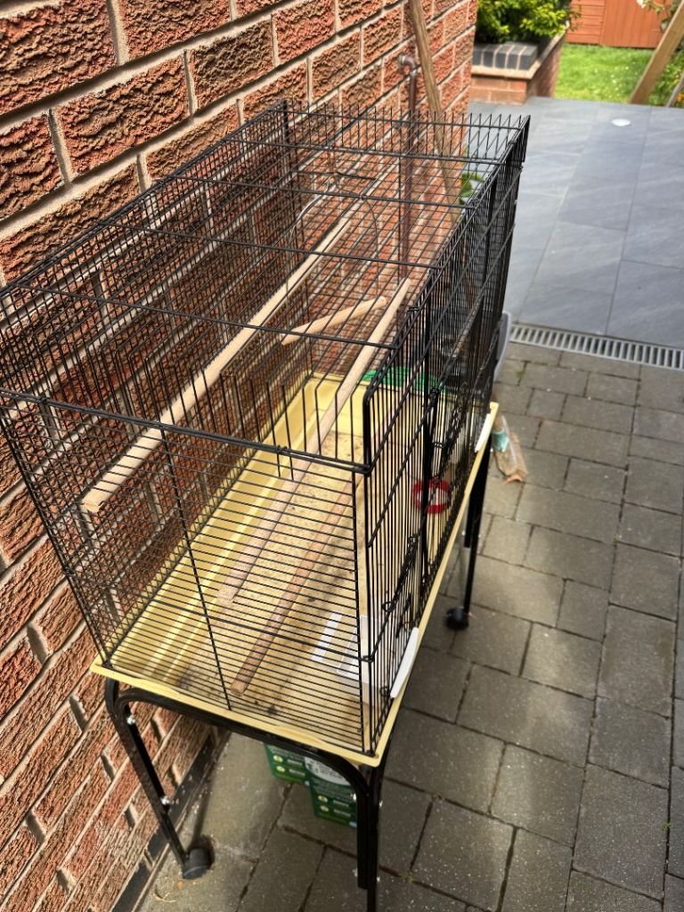 Bird cage 